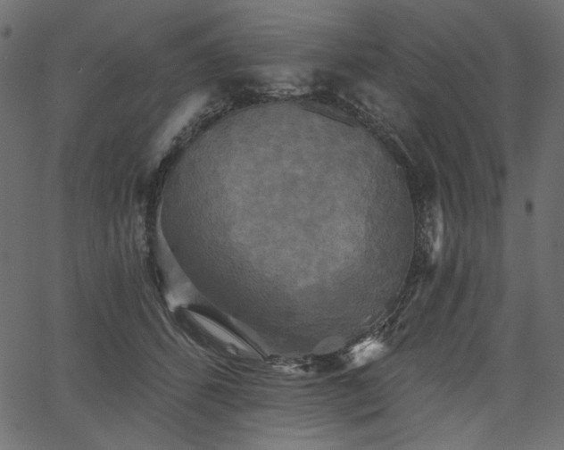 X0000067390512200603311302