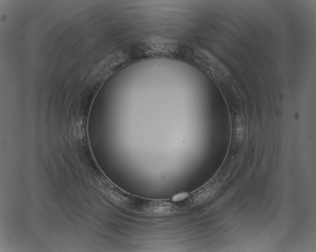 X0000067390514200603311302