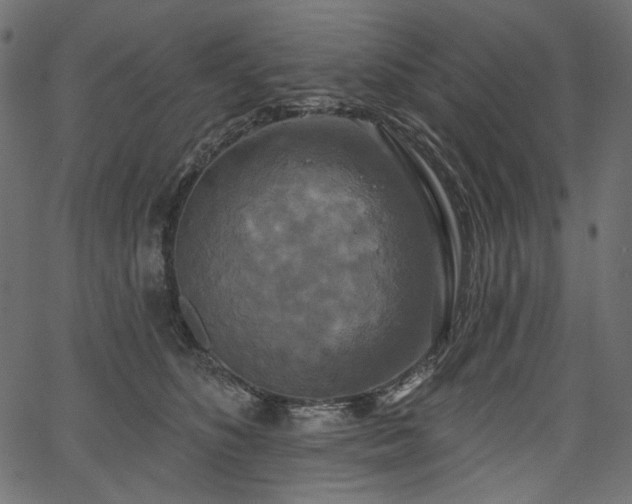 X0000067390516200603311302