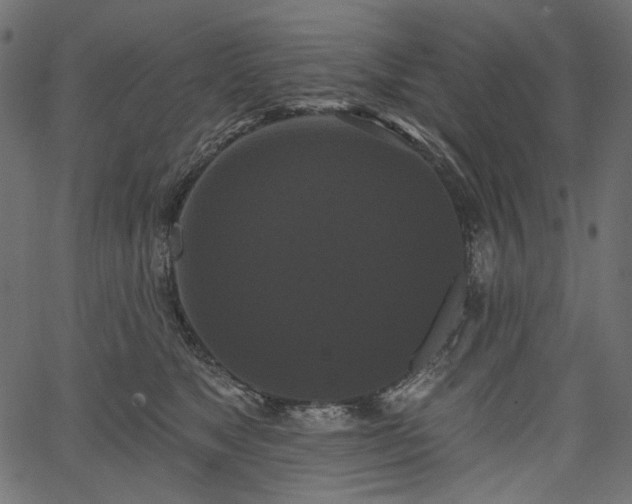 X0000067390517200603311302