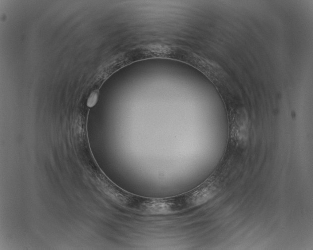 X0000067390518200603311302