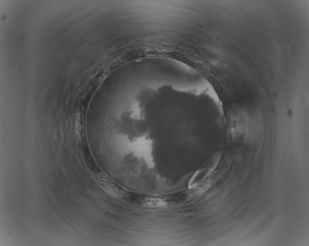 X0000067390519200603311302