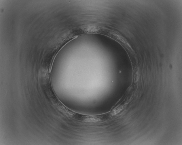 X0000067390521200603311302