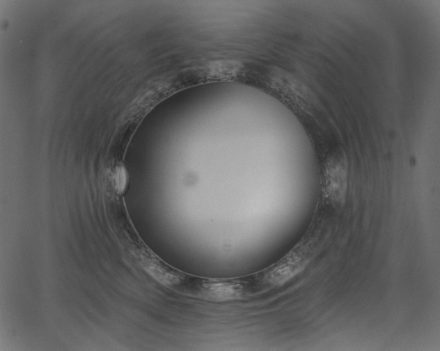 X0000067390522200603311302