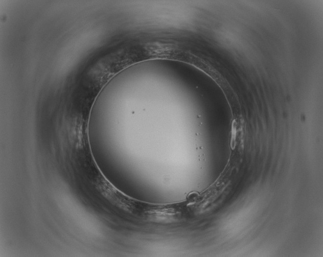 X0000067390525200603311302