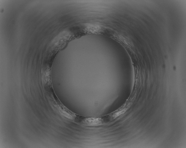 X0000067390526200603311302