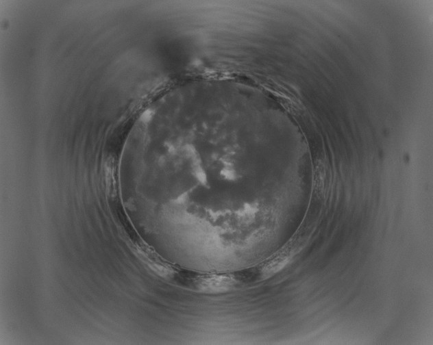 X0000067390527200603311302