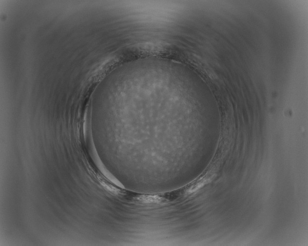 X0000067390528200603311302