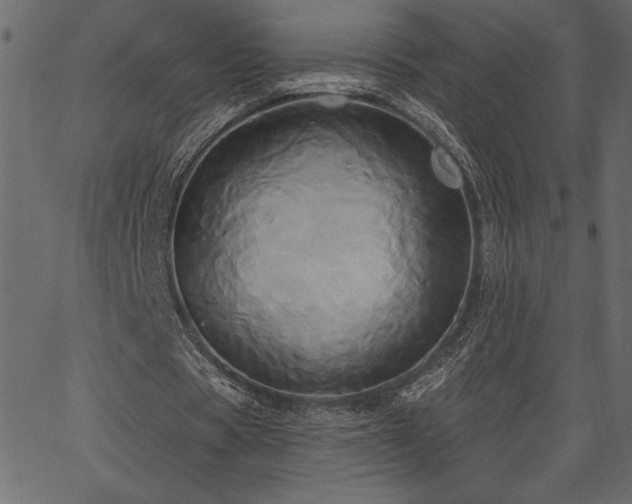 X0000067390529200603311301