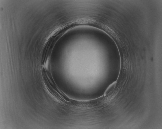 X0000067390530200603311301