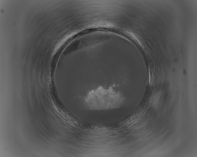 X0000067390531200603311301