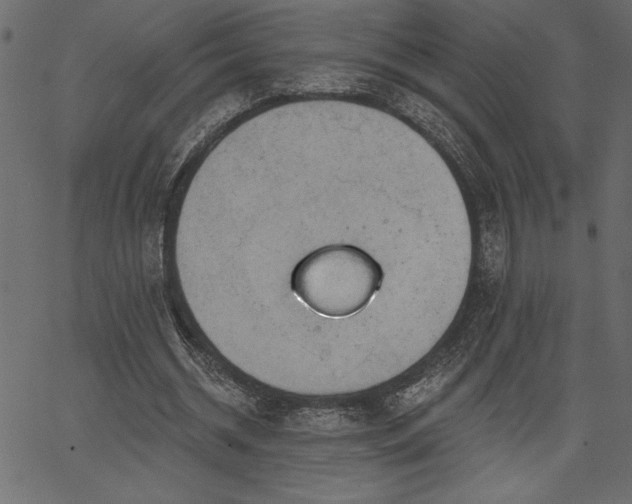 X0000067390534200603311301