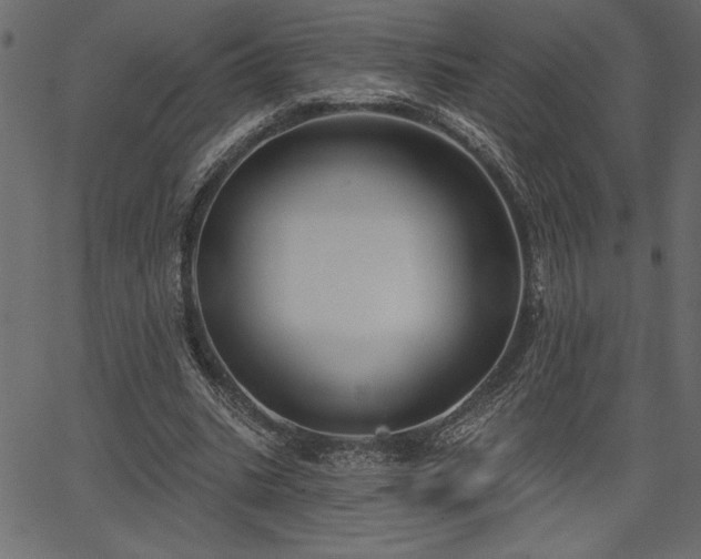 X0000067390535200603311301