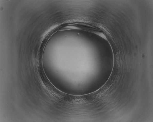 X0000067390536200603311301