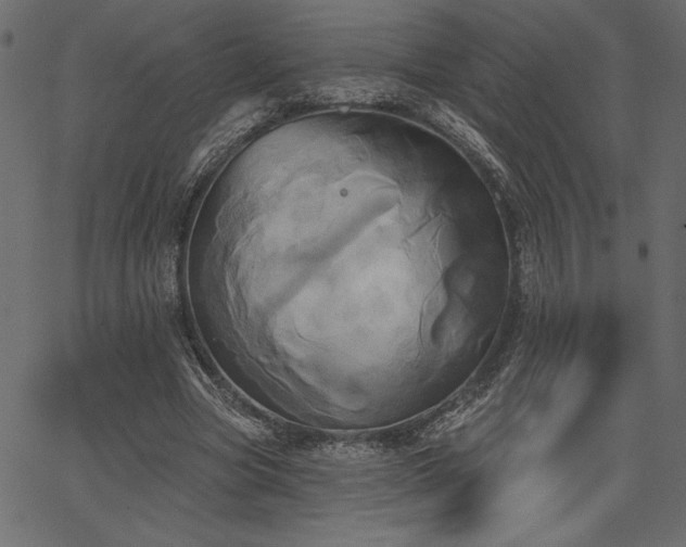 X0000067390537200603311301