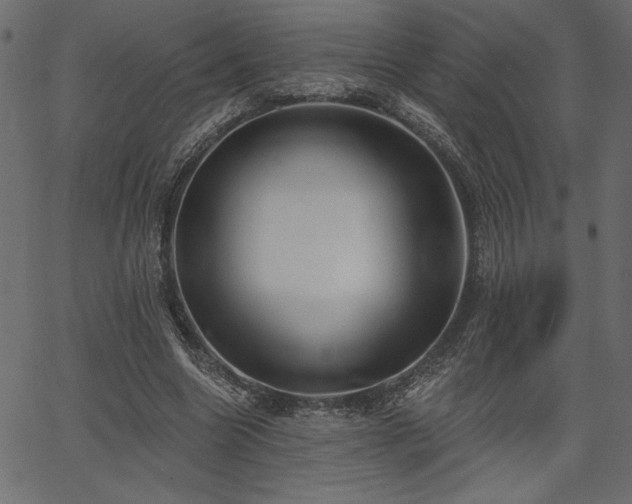 X0000067390538200603311301