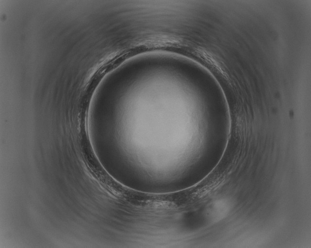 X0000067390539200603311301