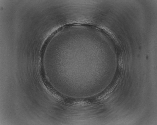 X0000067390540200603311301