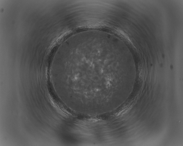 X0000067390542200603311301