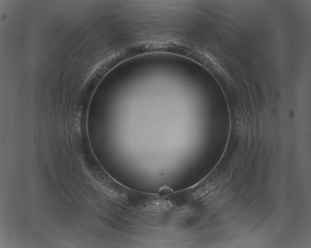 X0000067390543200603311301