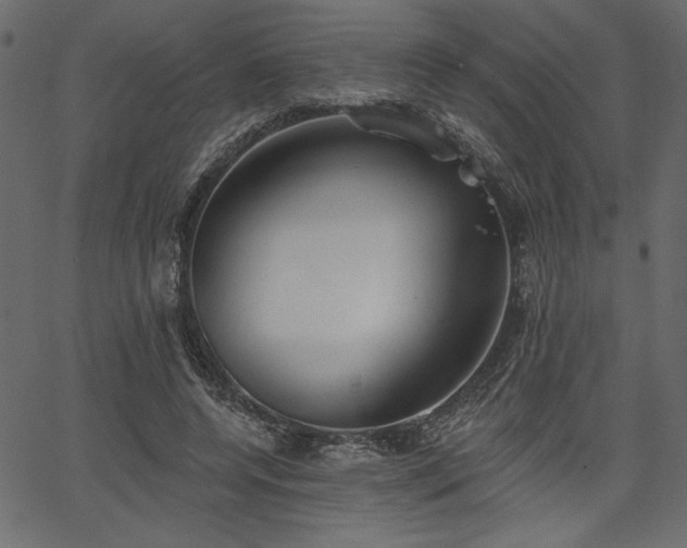 X0000067390544200603311301