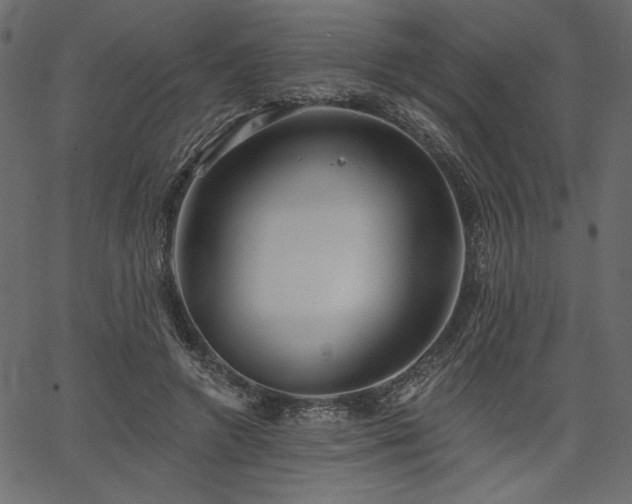 X0000067390546200603311301