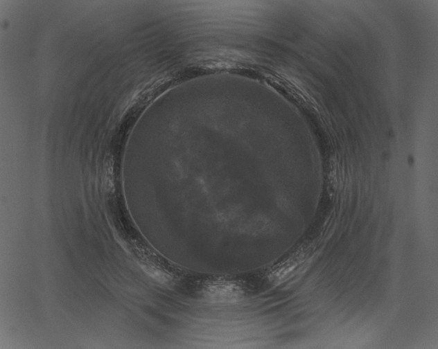 X0000067390547200603311301