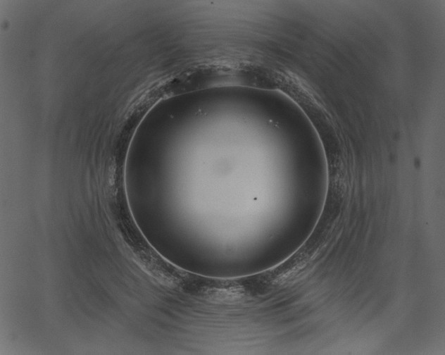 X0000067390548200603311301