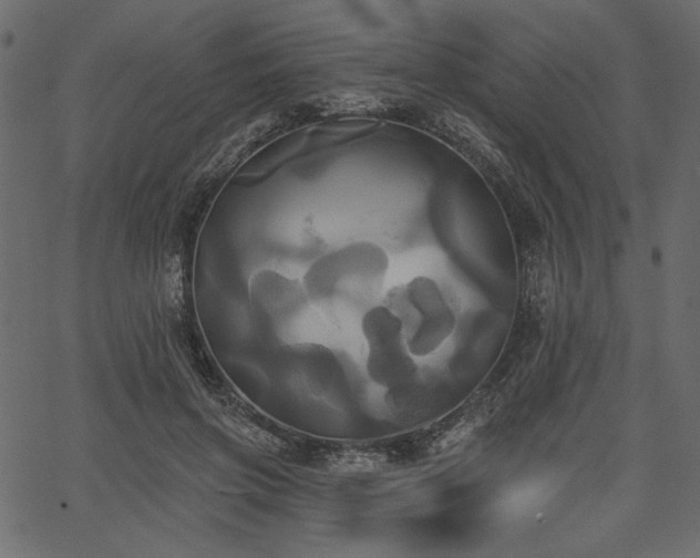 X0000067390549200603311301