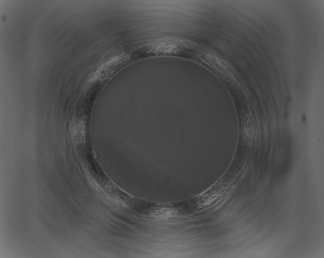 X0000067390551200603311301