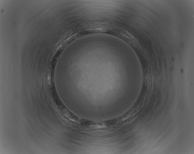 X0000067390552200603311301