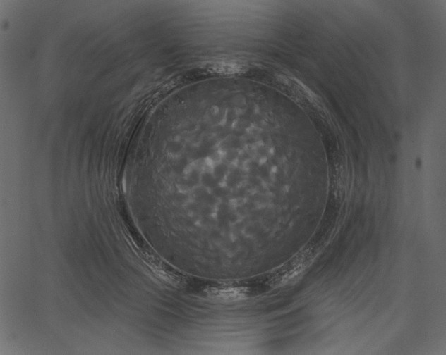 X0000067390553200603311302