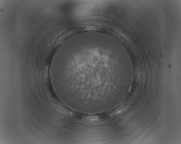 X0000067390554200603311302