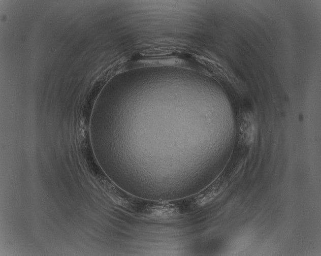 X0000067390555200603311302