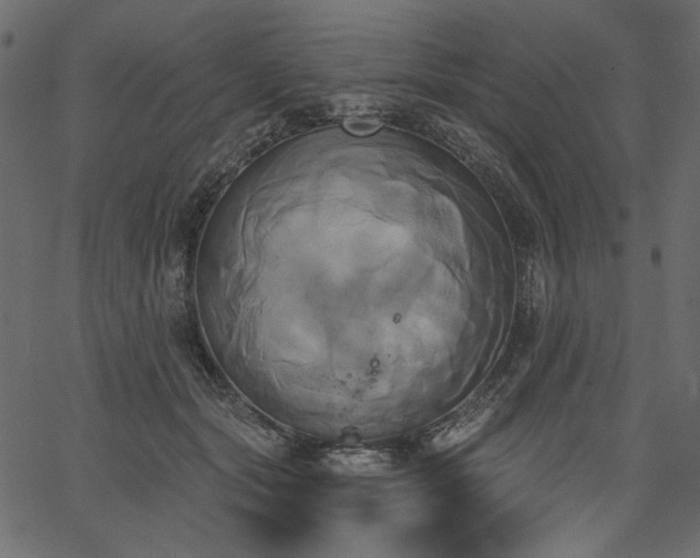 X0000067390557200603311302