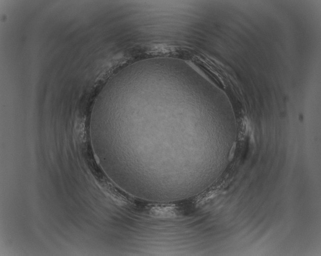 X0000067390560200603311302