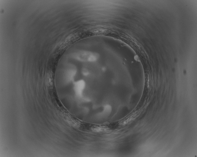 X0000067390561200603311302