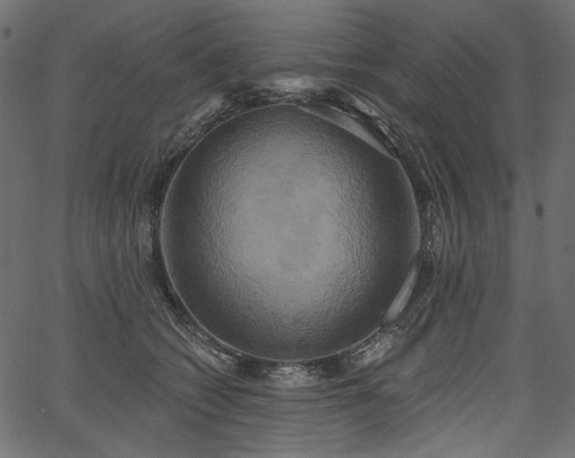 X0000067390562200603311302