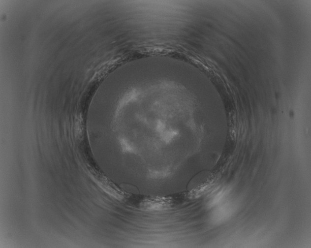 X0000067390563200603311302