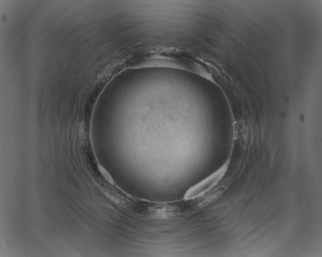 X0000067390564200603311302