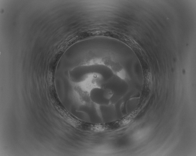 X0000067390565200603311302