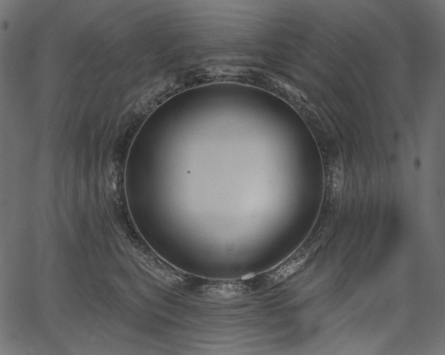 X0000067390567200603311302