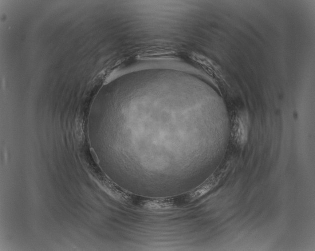 X0000067390568200603311302