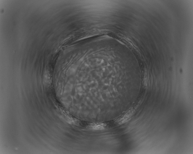 X0000067390569200603311302