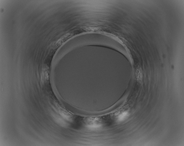 X0000067390570200603311302