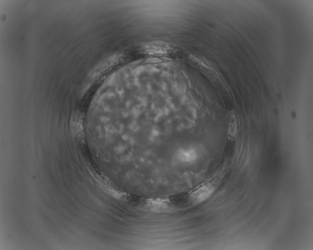 X0000067390573200603311302