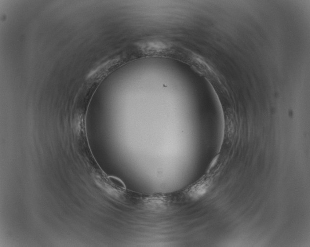 X0000067390574200603311302