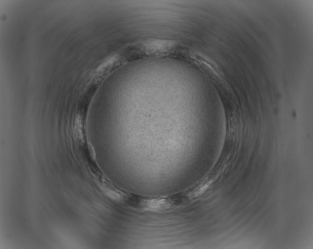 X0000067390575200603311302