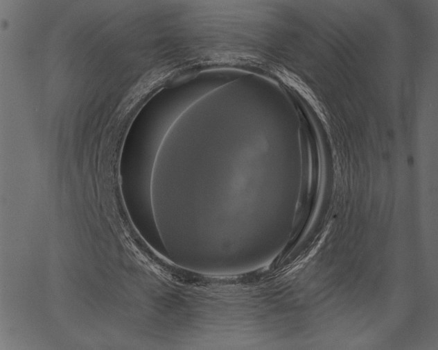 X0000067390577200603311301