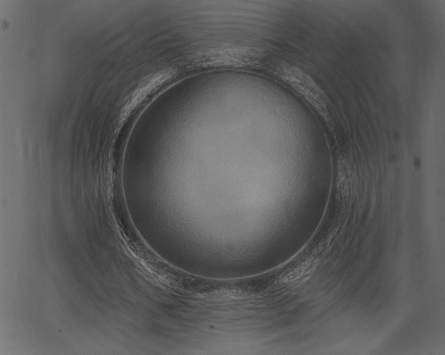 X0000067390578200603311301